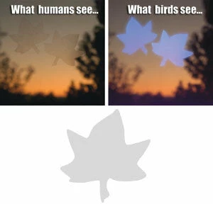 Shock Logistics Window Alert Decals- Prevent Bird Strikes